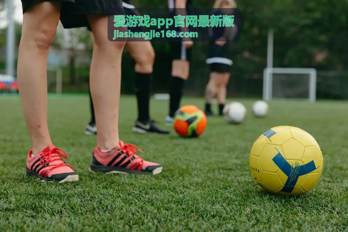 爱游戏app官网最新版 界面设置说明封面