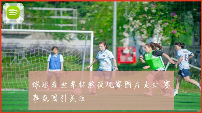 球迷看世界杯熬夜观赛图片走红 赛事氛围引关注