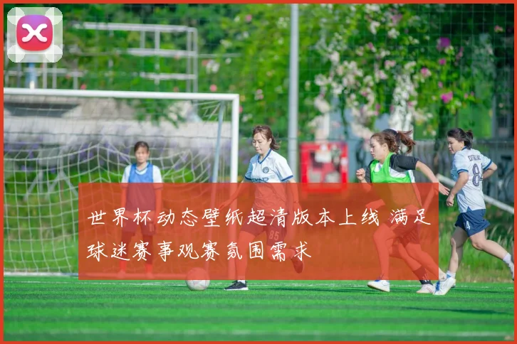 世界杯动态壁纸超清版本上线 满足球迷赛事观赛氛围需求